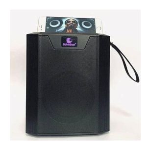 BoomBest Powerful Bluetooth Wireless Speaker With Radio LN-1316BT- Multicolor