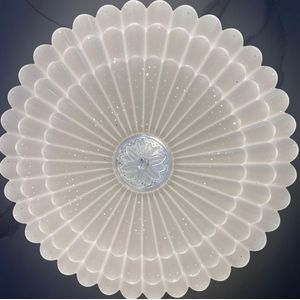 Electronics Ceiling light