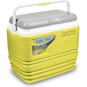 10L insulated ice cooler chiller box 