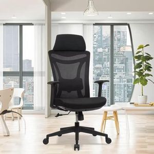 Executive office chair mesh