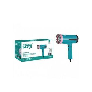 WINNING STAR Foldable Electric Garment Steamer-Multicolour