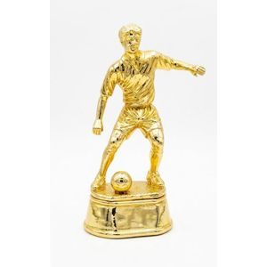 Gold sports trophy