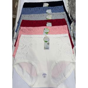 Genetic 12PCS Cotton Hiwaste Knickers for Ladies 