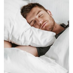Soft Fiber Pillows - a Pair - white