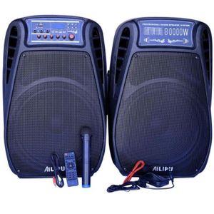 AILIPU 15 " inch Amplified public Address Speakers 1 Year Warranty _Black