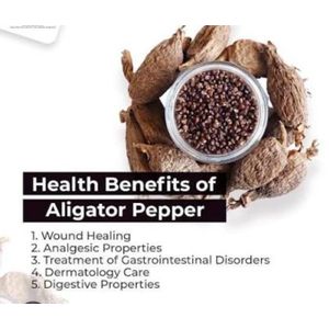 50g of Alligator Pepper