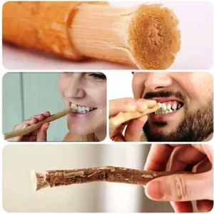 Other Siwak Nature's Toothbrush 