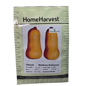 Butternut seeds for planting 10g