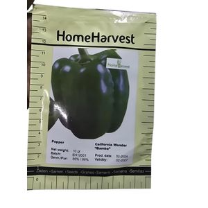 Green pepper seeds For planting 10g