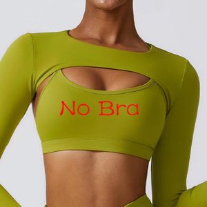 Generic Slim Fit Long Sleeve Crop Top Built In Bra Halter Neck Yoga Shirts  With Thumb Holes Workout Clothes for Women Athletic Wear @ Best Price  Online