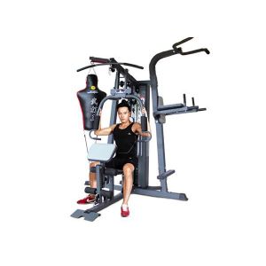 Huijun  Comprehensive Training Machine - multicolor