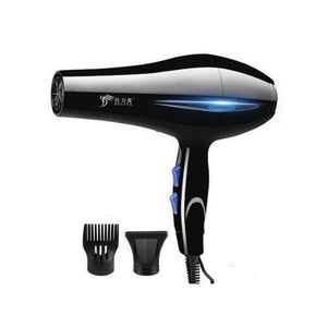 Professional Hair Dryer