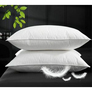 A pair of large fiber soft pillows (2 pillows) - white. 