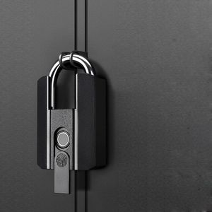 Smart Biometric Fingerprint Padlock with Backup Keys and USB Cable