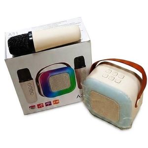 China Factory Made A31 Mini Karaoke Speaker Machine with Wireless Microphone