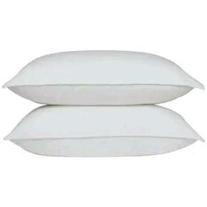 Apair of fibre pillows-white