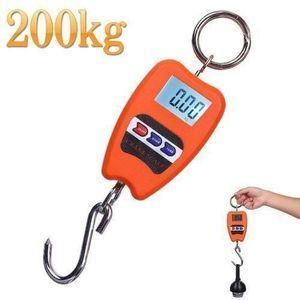 Crane scale 