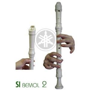 Fluet Soprano Recorder Flutes, German Fingering System Key of C Plastic Soprano, Best Gift for Students and Music Fans
