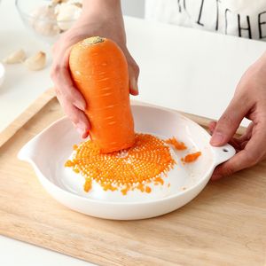 Ceramic Grater for Carrot Ginger Garlic Wasabi Portable Porcelain