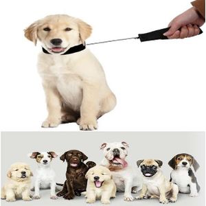 Retractable Dog Leash & Collar For Pet Dogs - Black,