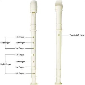 Longhorn  Soprano Descant Recorder, 8 Hole Soprano Recorders Descant Flute With Cleaning Rod German Style for Beginner Graduation or Back to School Gift