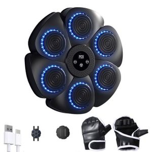 Wall Mounted Boxing Machine With A Pair Of Gloves - Black