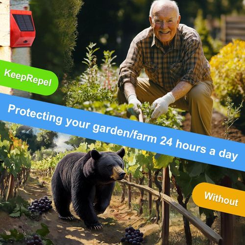 product_image_name-Generic-Solar Alarm Strobe Light with Remote Control Motion Sensor Detector Outdoor Alarm Sound Security Siren IP65 Waterproof Protected for Villa, Chicken coop, Farm, Yard, -3