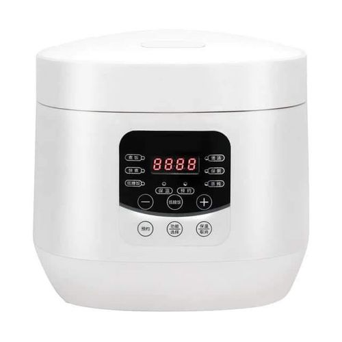 product_image_name-Generic-5 Liters Micro Computer Rice Cooker With A Non Stick Inner Pot Touch Operated Multifunctional Cooker - Multicolor-2