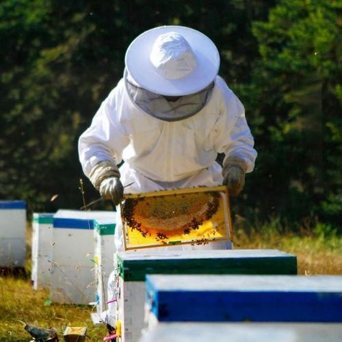 product_image_name-Generic-Full Body Beekeeping Suit Ventilated Hood Beekeeper Protective Suit 3 Sizes L-2