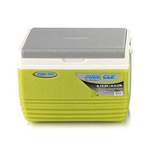 product_image_name-Pinnacle-Cooler Box For Chilling And Cooling Drinks-Green/Grey-1