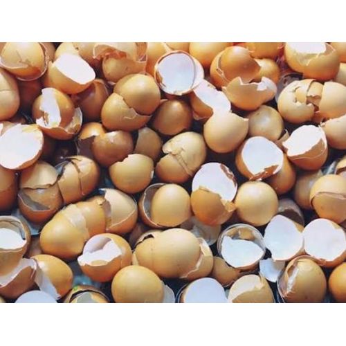 product_image_name-Generic-1Kg of Eggshells Powder-3