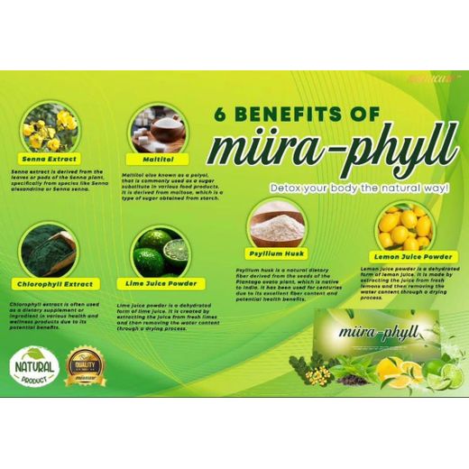Generic Miira -Phyll - image 3