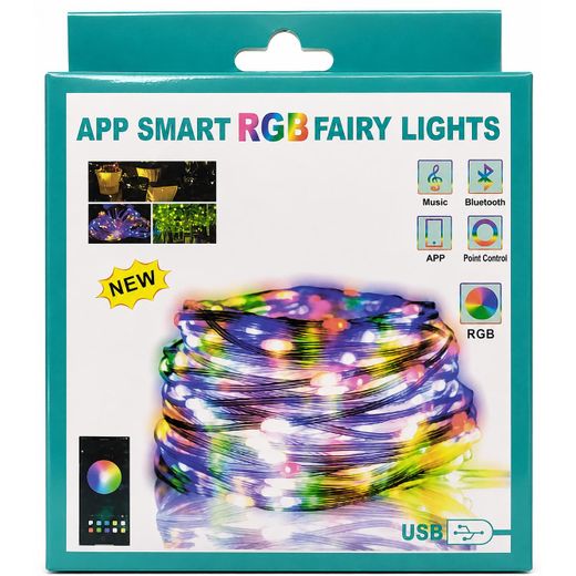 Smart RGB Fairy Lights